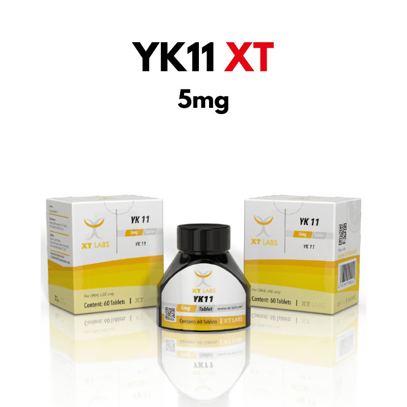 YK11
